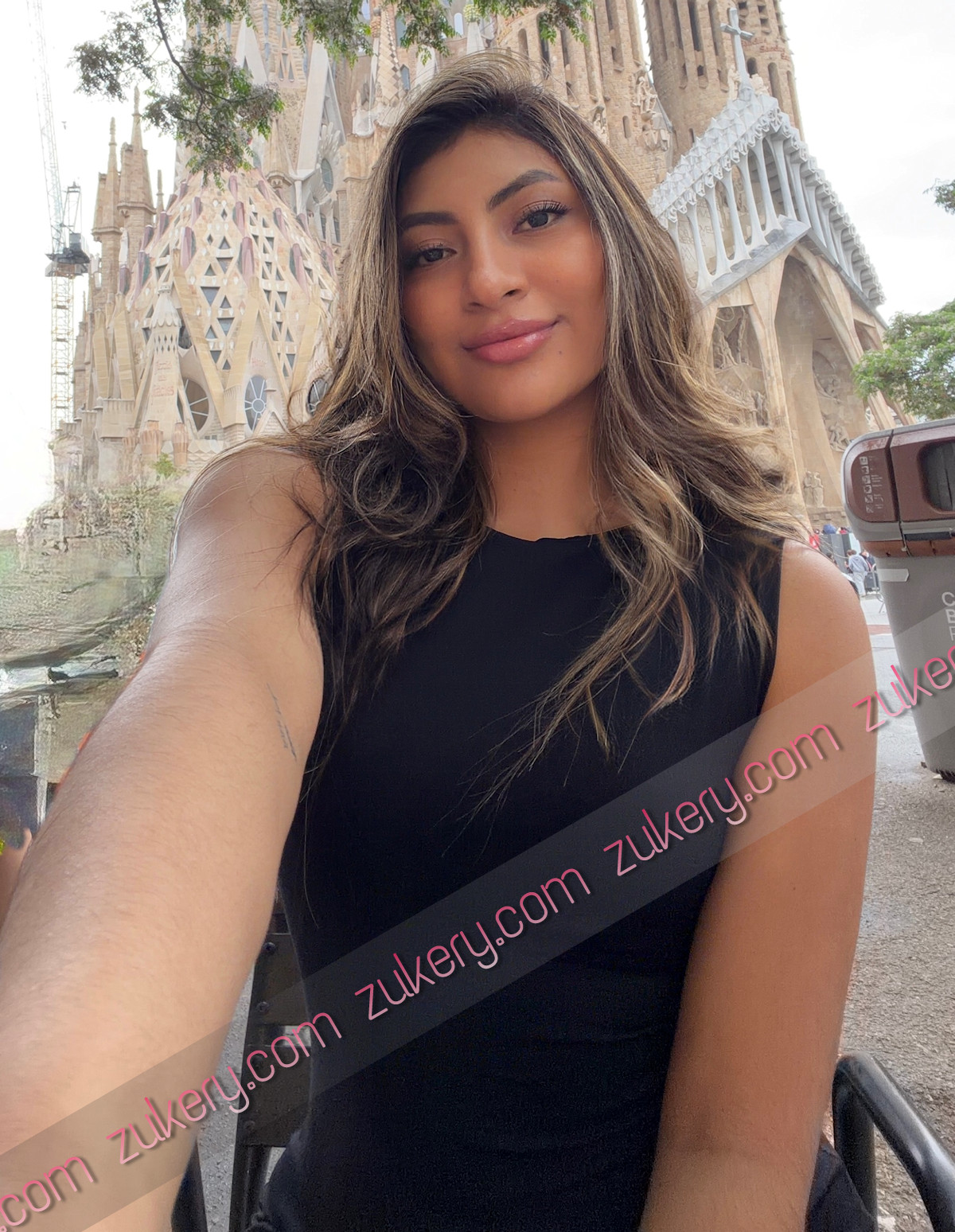 ALISON