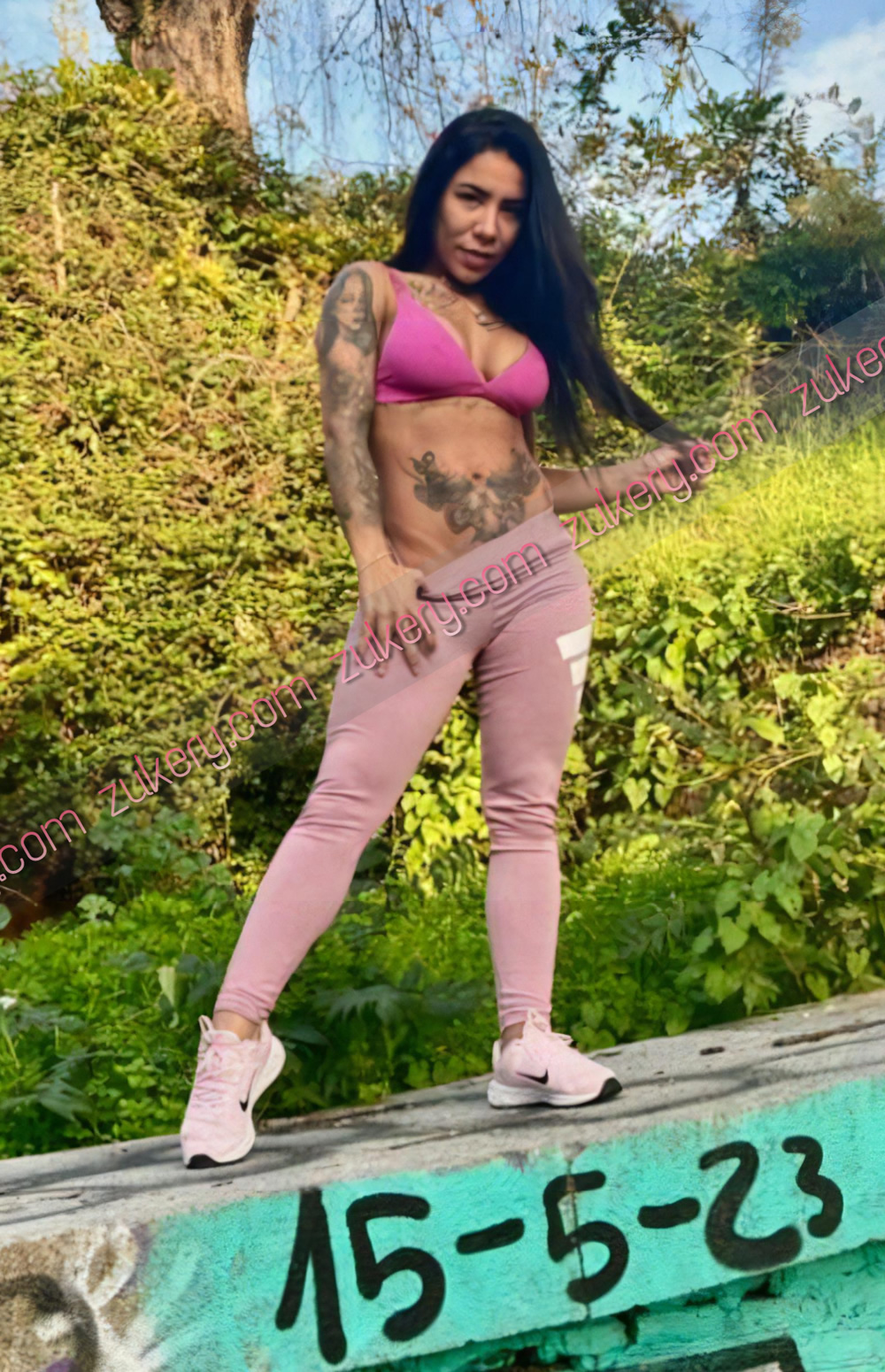 BRISA