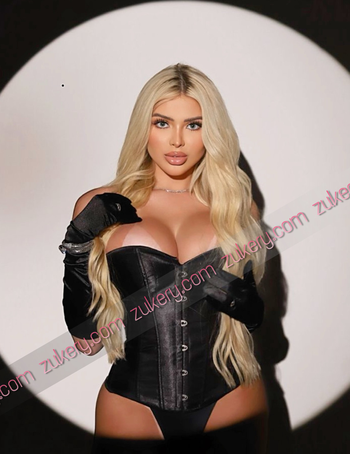 Foto 17 de la escort Dianna