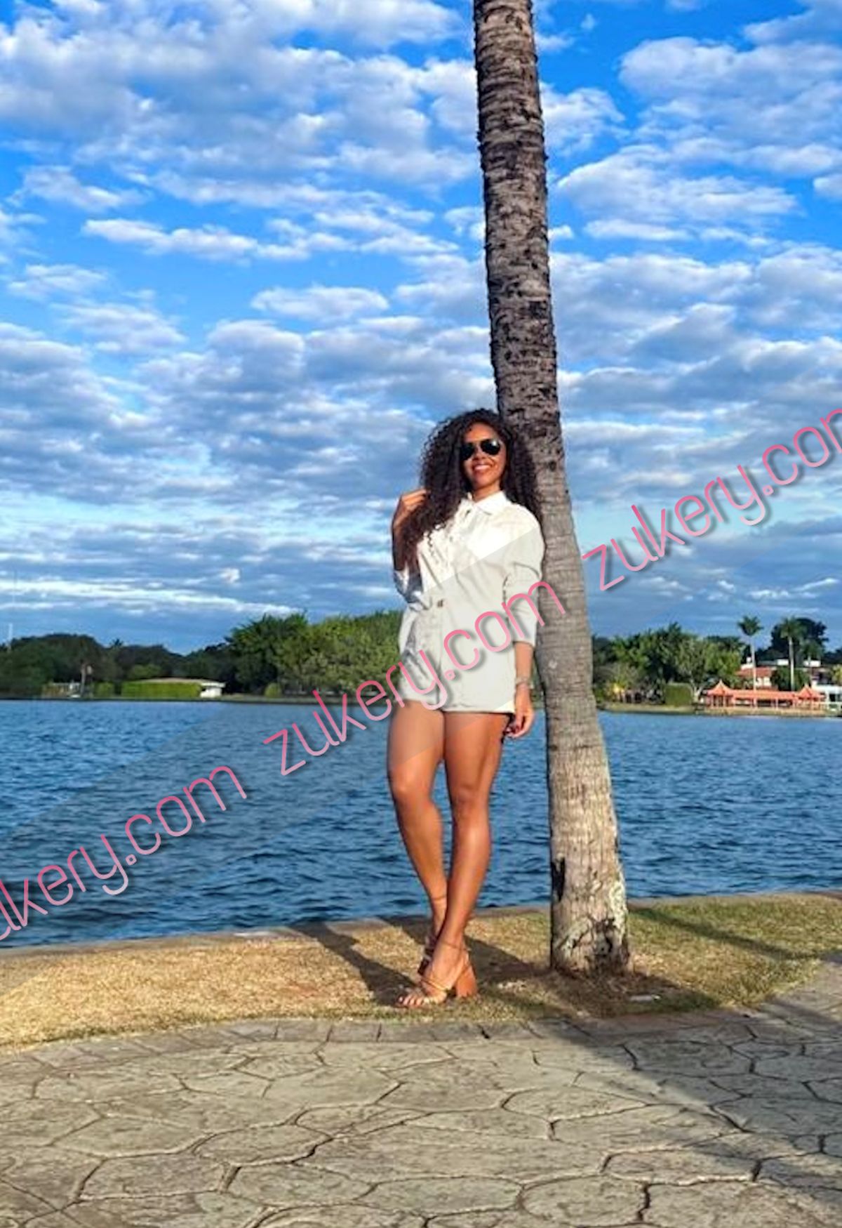 Guapa brasilera para acompañamiento