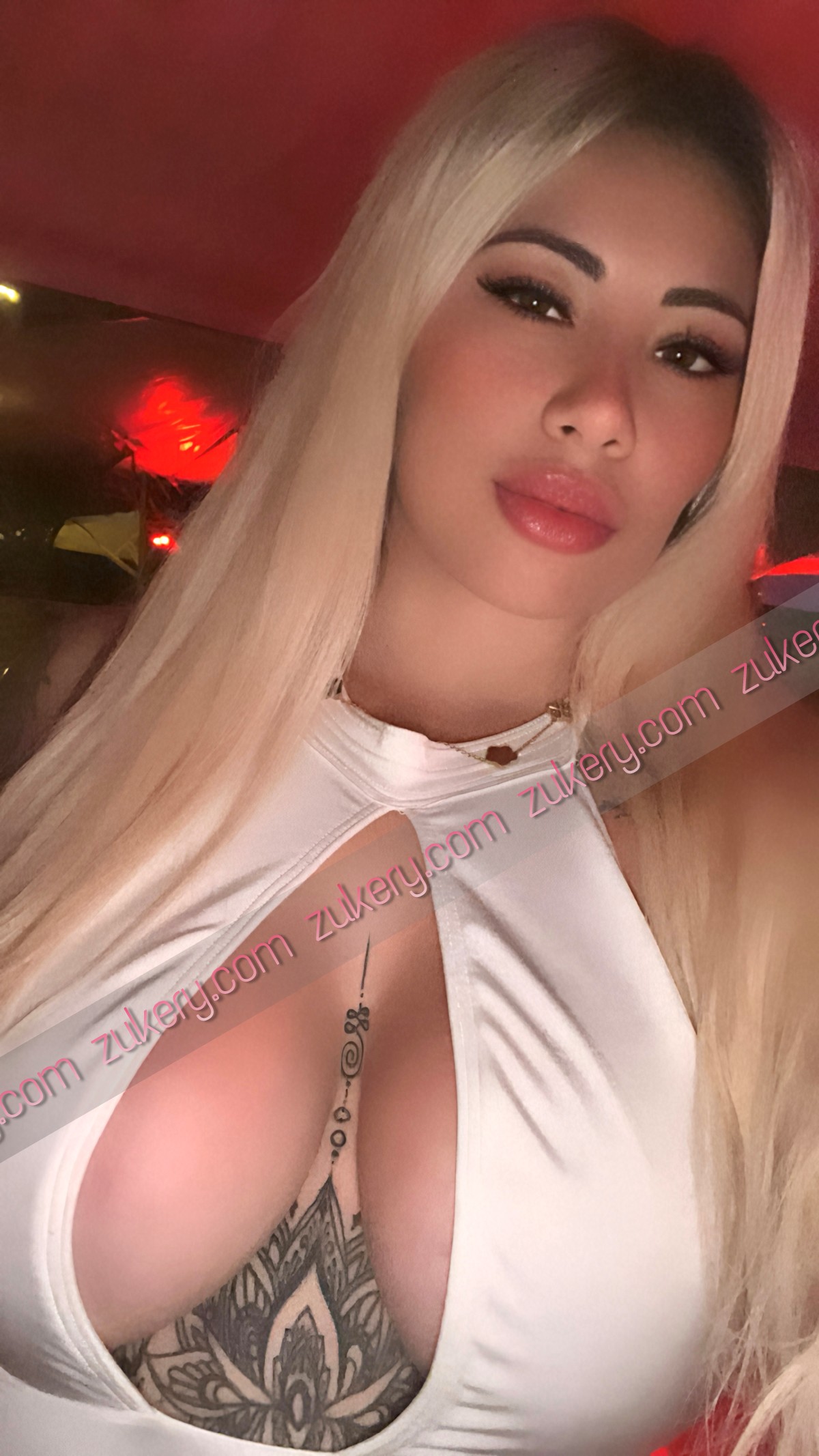 Foto 11 de la escort Nicole