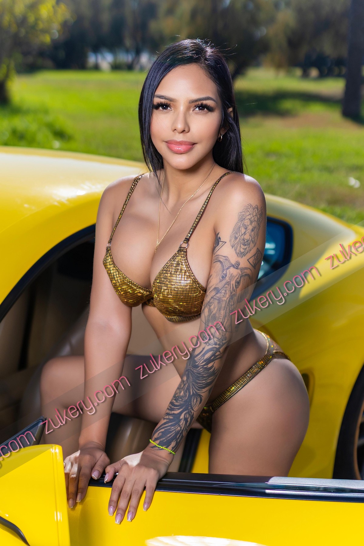 venezolana, morena, outcall, pecho operado